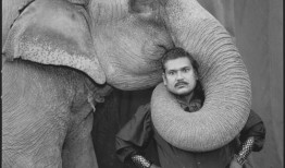 大象玛莉爆料视频,视频内容大起底